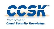 ccsk logo: cyber security audit