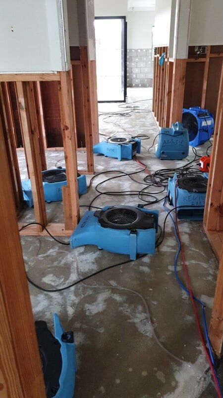 Revive Cleaning & Restoration Water Damage
