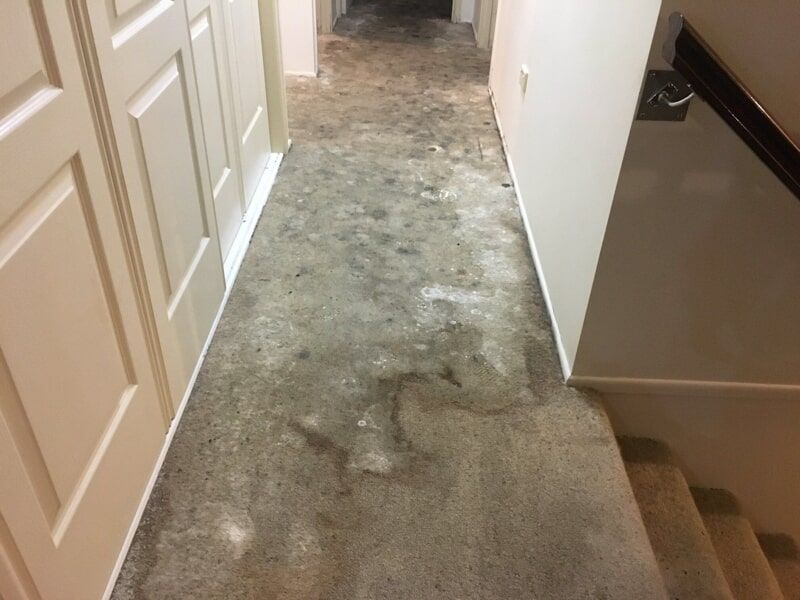 Revive Cleaning & Restoration 11