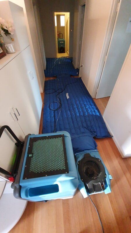 Revive Cleaning & Restoration 28