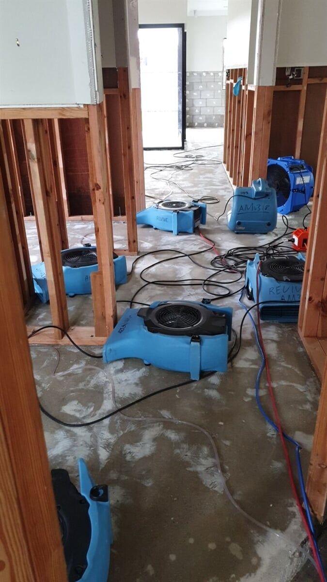 Revive Cleaning & Restoration 57