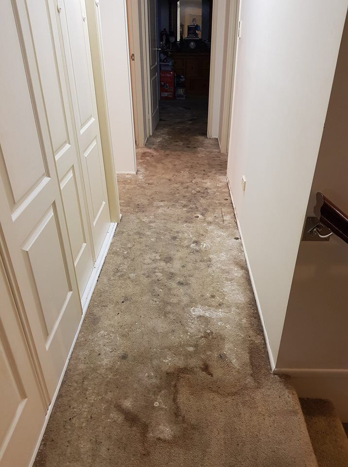 Revive Cleaning & Restoration 61