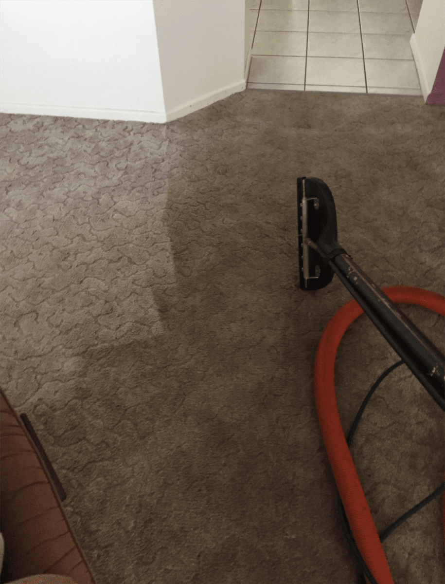 Cleaning Carpet With Vacuum Cleaner — Cleaning Service in Yeppoon,QLD Cleaning Carpet With Vacuum Cleaner — Cleaning Service in Yeppoon,QLD