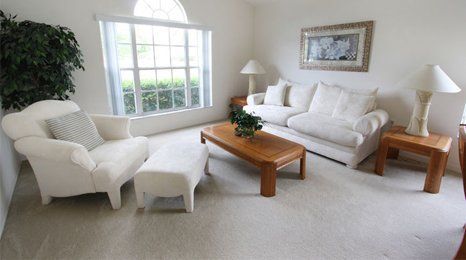 carpet fitting services