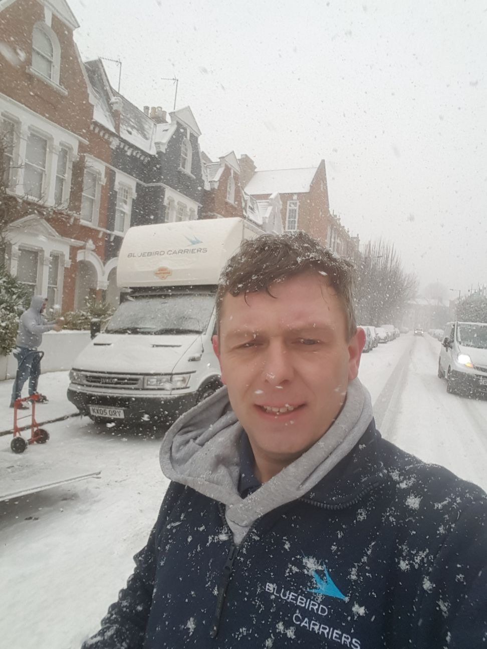 removals experts