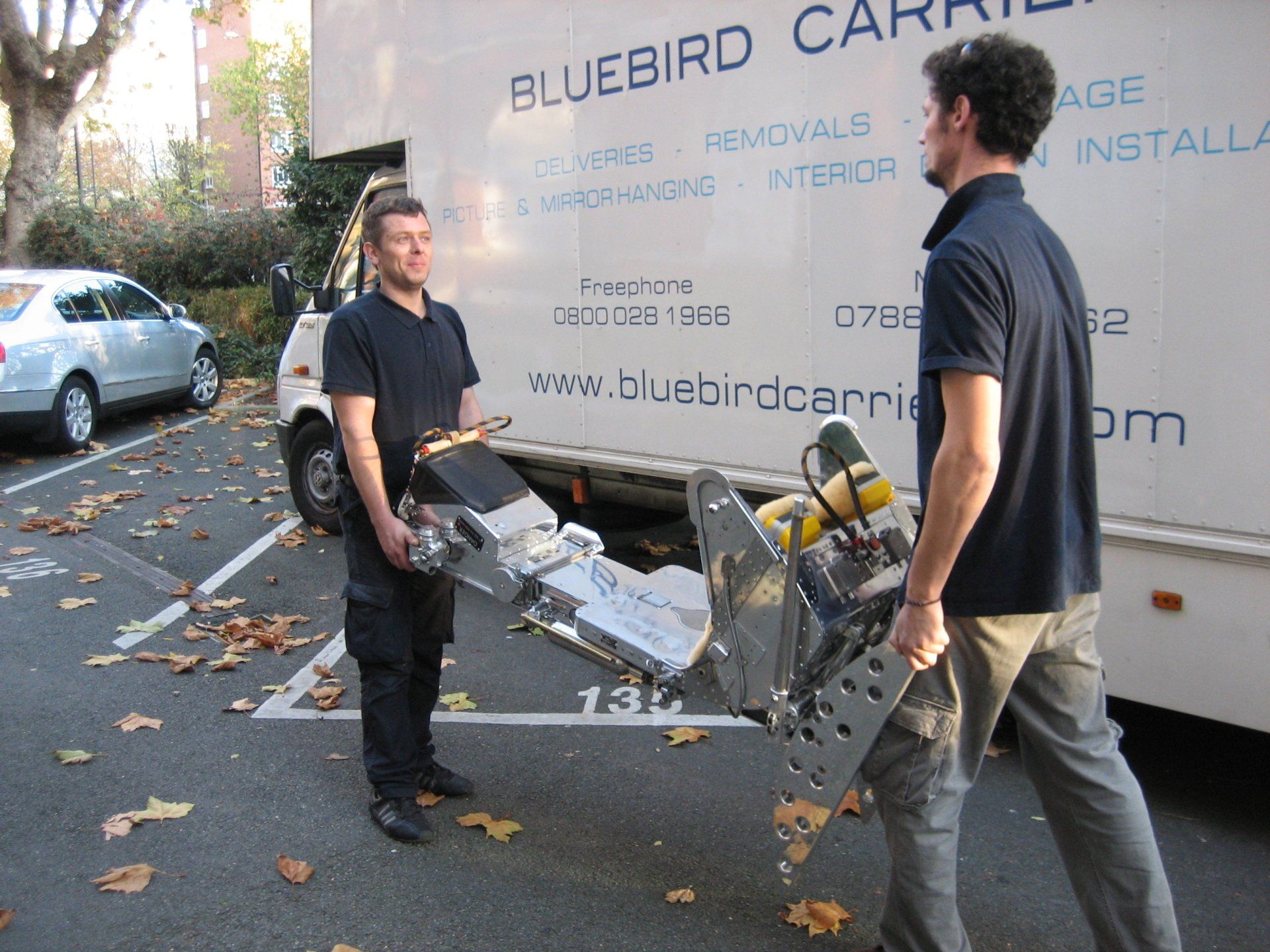removal expert