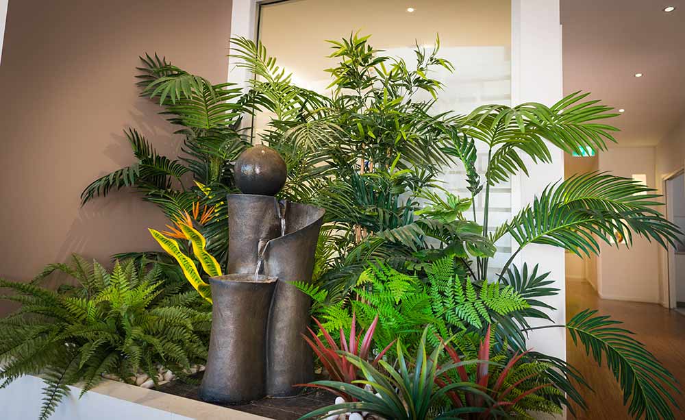 eltham dental clinic indoor plant decorations