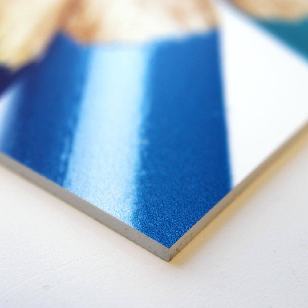 Foam Board Sign Printing at Sheffield Printers