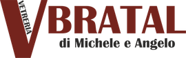 Vetreria Bratal srls - LOGO Vetreria Bratal srls - LOGO