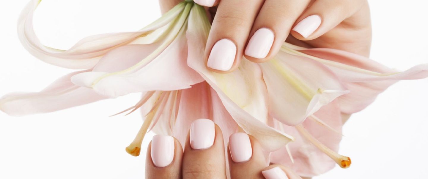 Die Hand einer Frau mit weißen Nägeln hält eine rosa Blume.