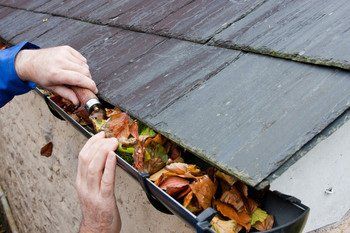 Gutter cleaning