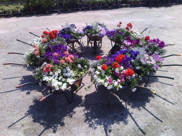 Allestimento fiori