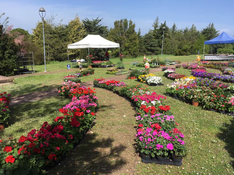 progettazione giardino
