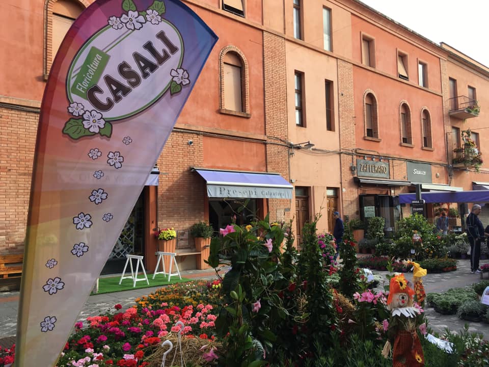 allestimento in evento cittadino