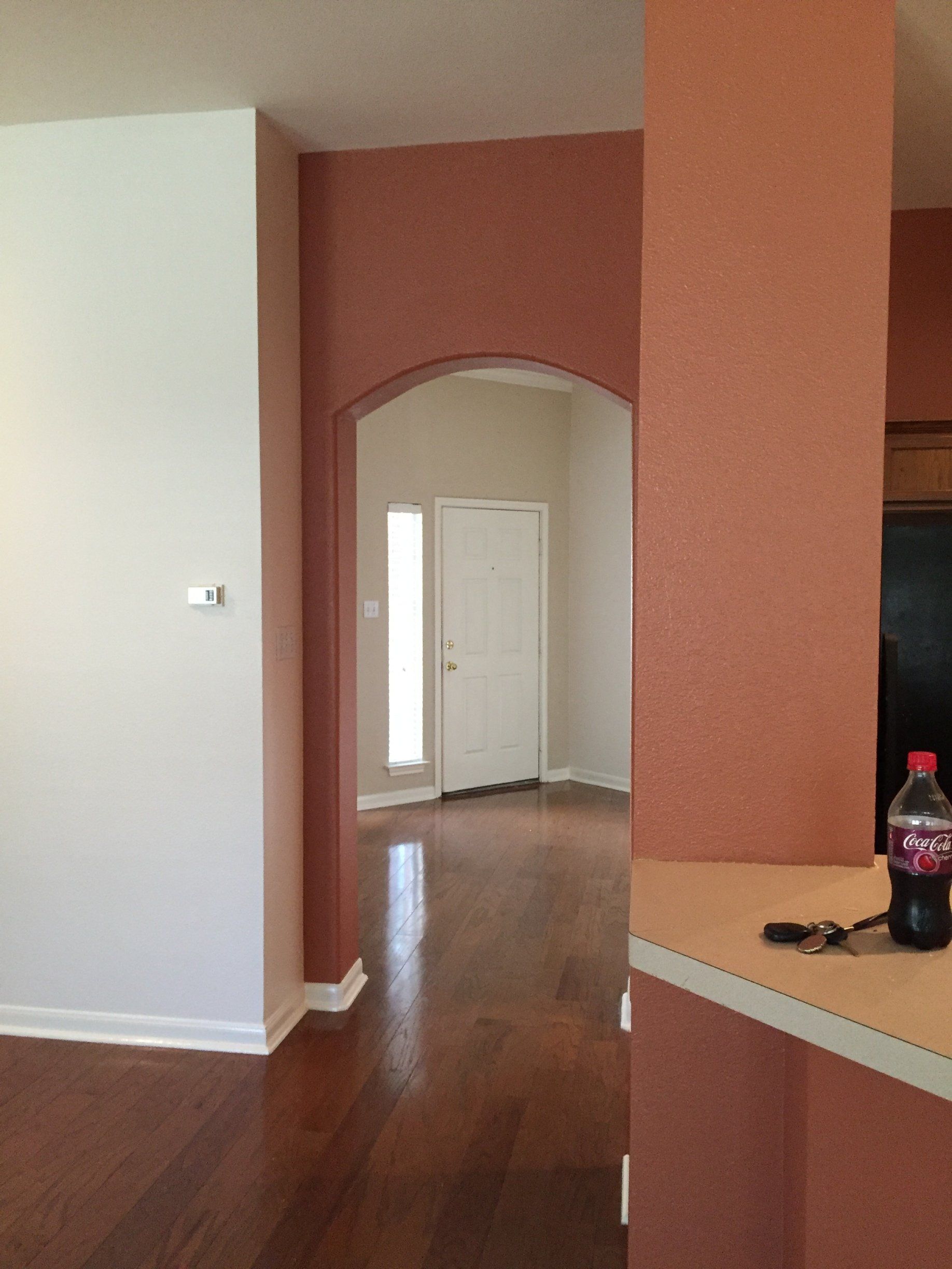 A view through an arched doorway of a home entryway with wood floors, a white door, and a terracotta-colored accent wall.