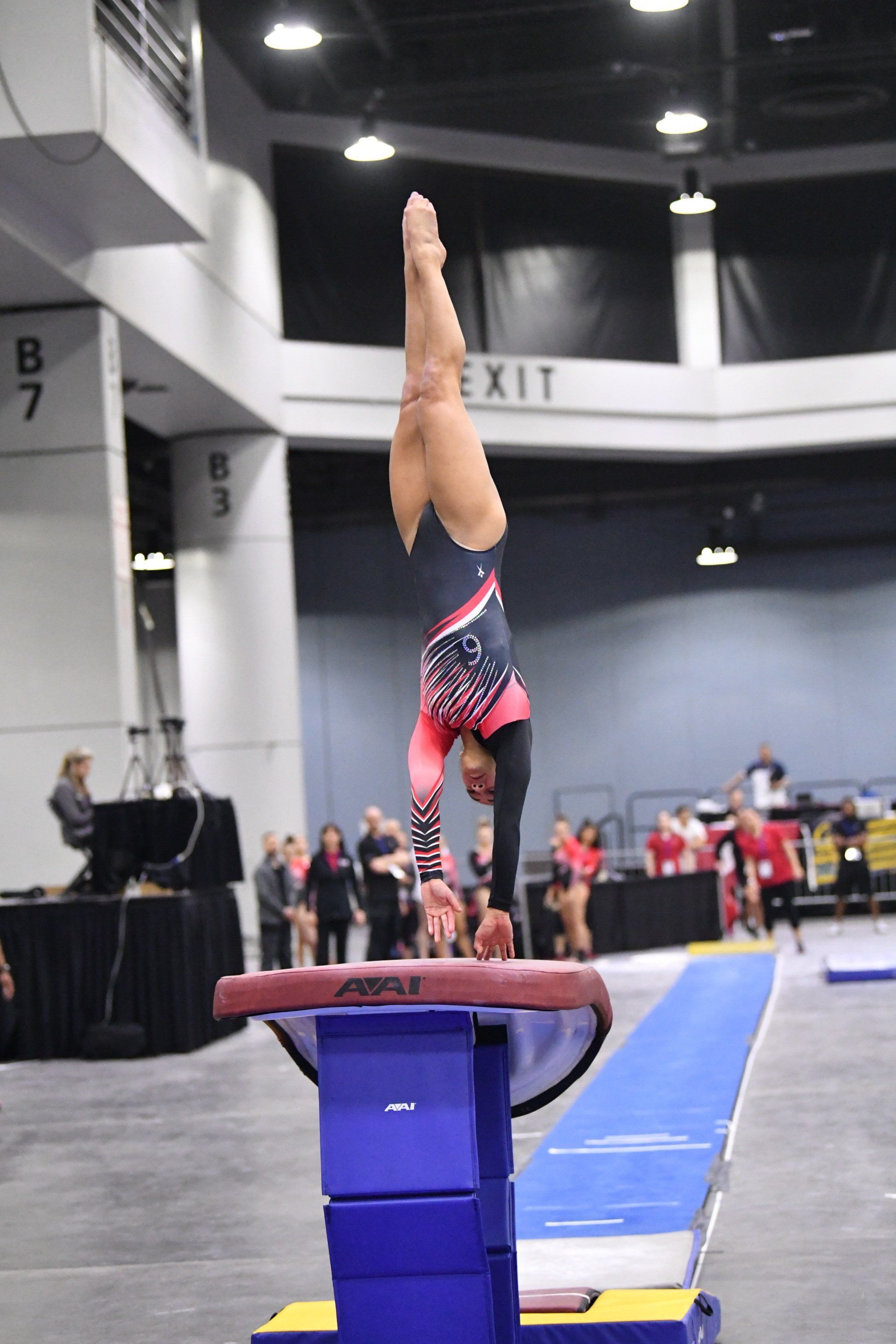 Western Mass Team Gymnastics Program