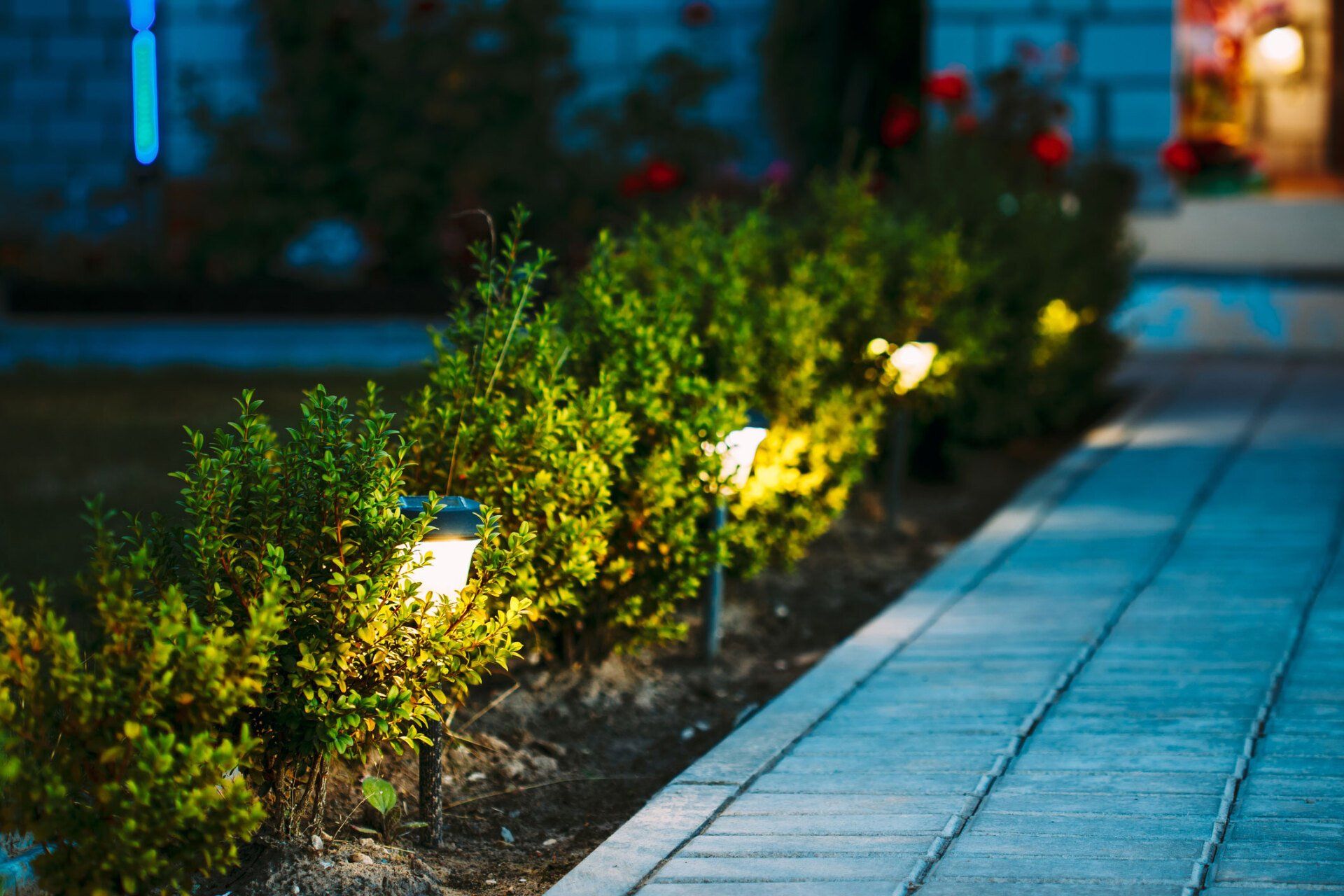 Night View of Flowerbed — Groveland, FL — South Lake Irrigation Inc. Night View of Flowerbed — Groveland, FL — South Lake Irrigation Inc.
