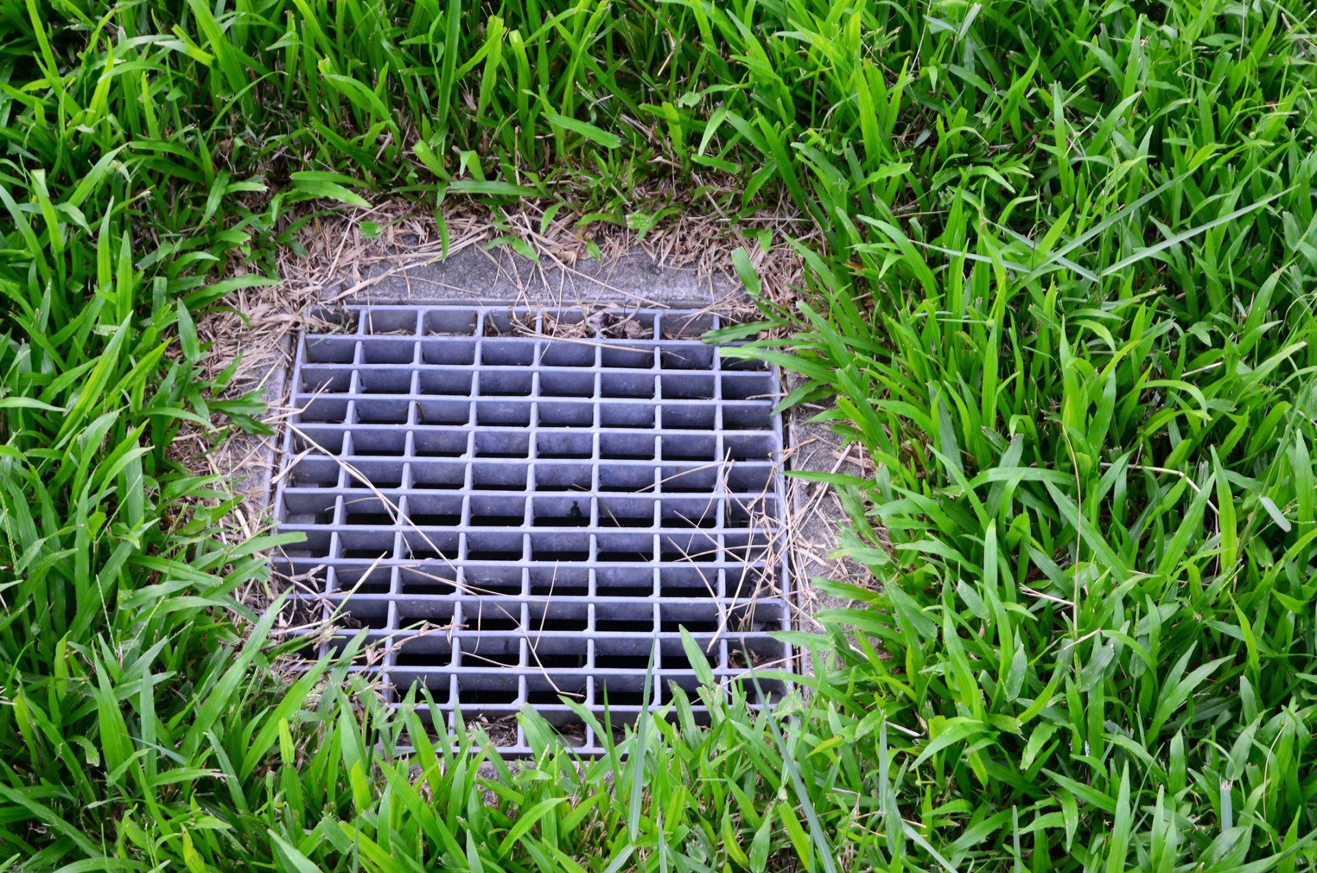 Sprinklers Watering Lawn — Groveland, FL — South Lake Irrigation Inc. Sprinklers Watering Lawn — Groveland, FL — South Lake Irrigation Inc.