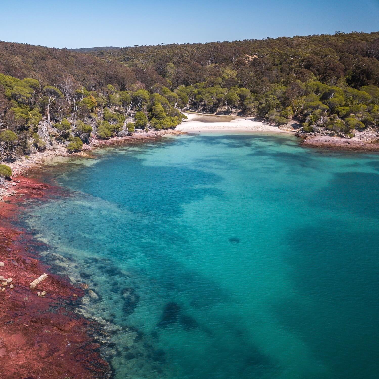 Beowa National Park, Sapphire Coast Guiding Co