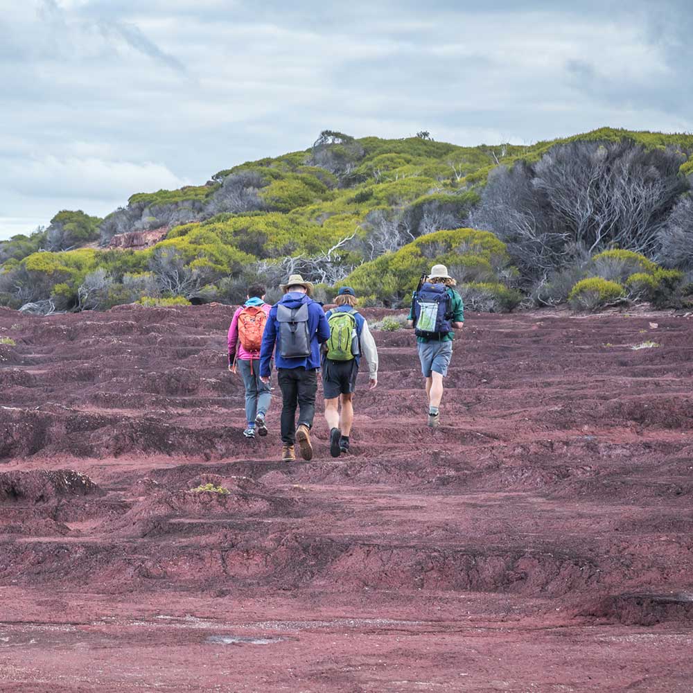 Light to Light Guided Walk | Sapphire Coast Guiding Co
