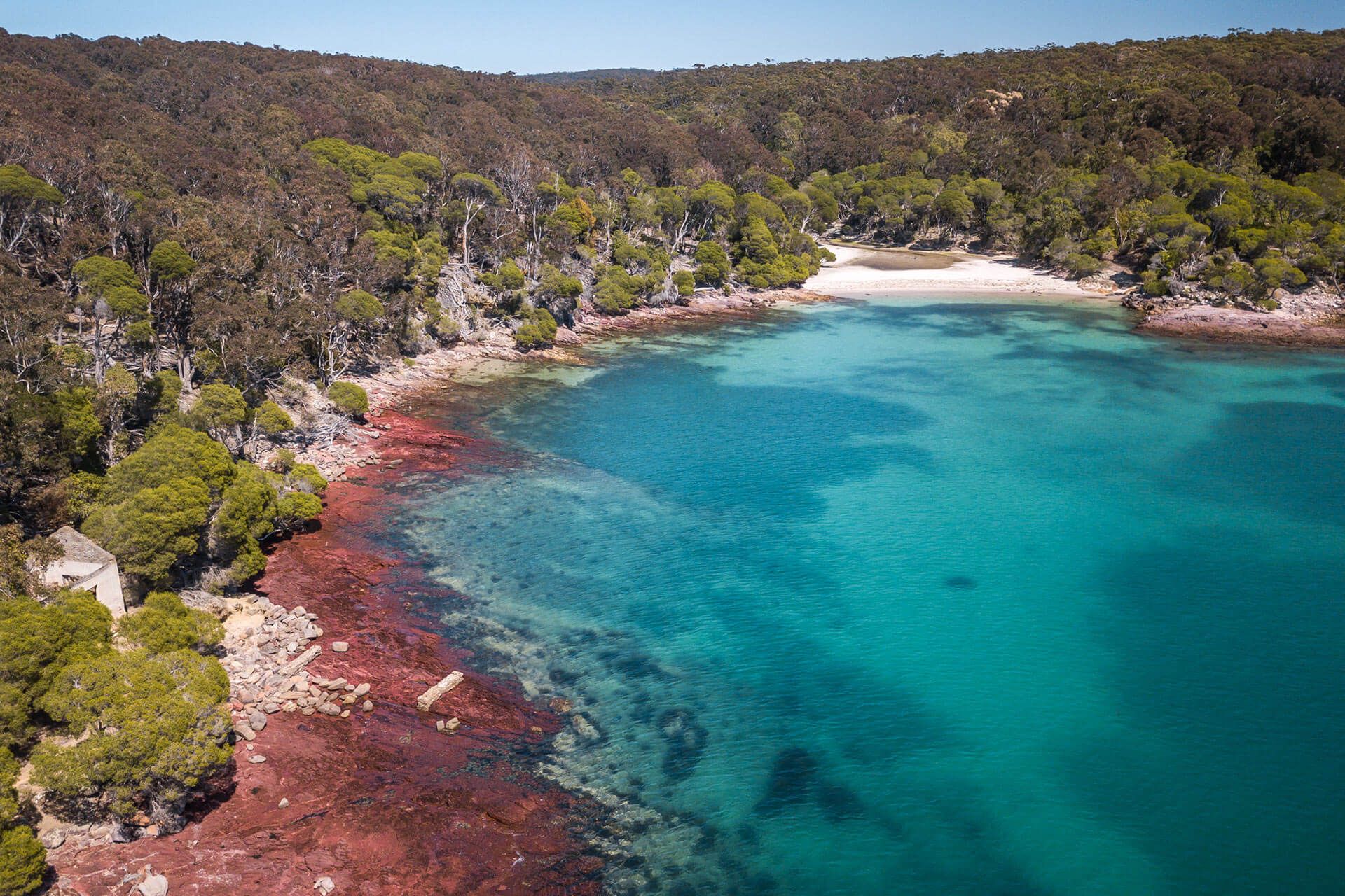 Light to Light Walk, Sapphire Coast Guiding Co, South Coast, NSW, Sapphire Coast, walks, hikes, National Parks, tours