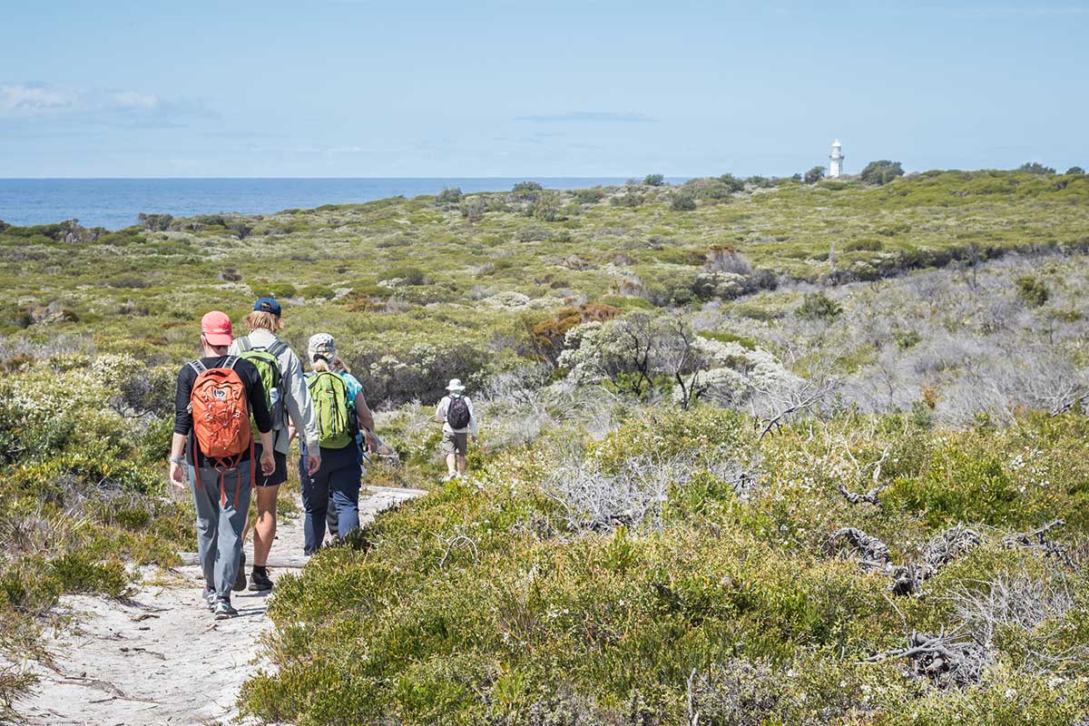 Beowa National Park, Sapphire Coast Guiding Co