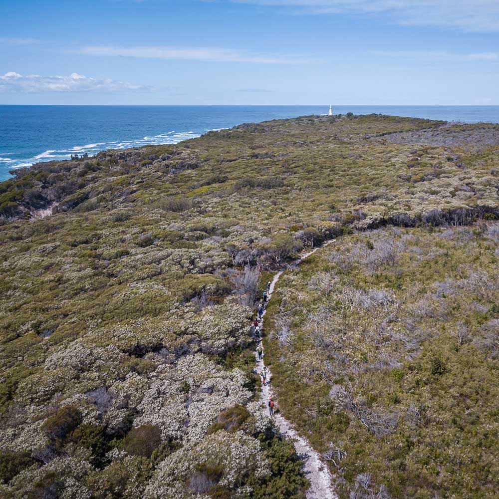 Light to Light Guided Walk | Sapphire Coast Guiding Co