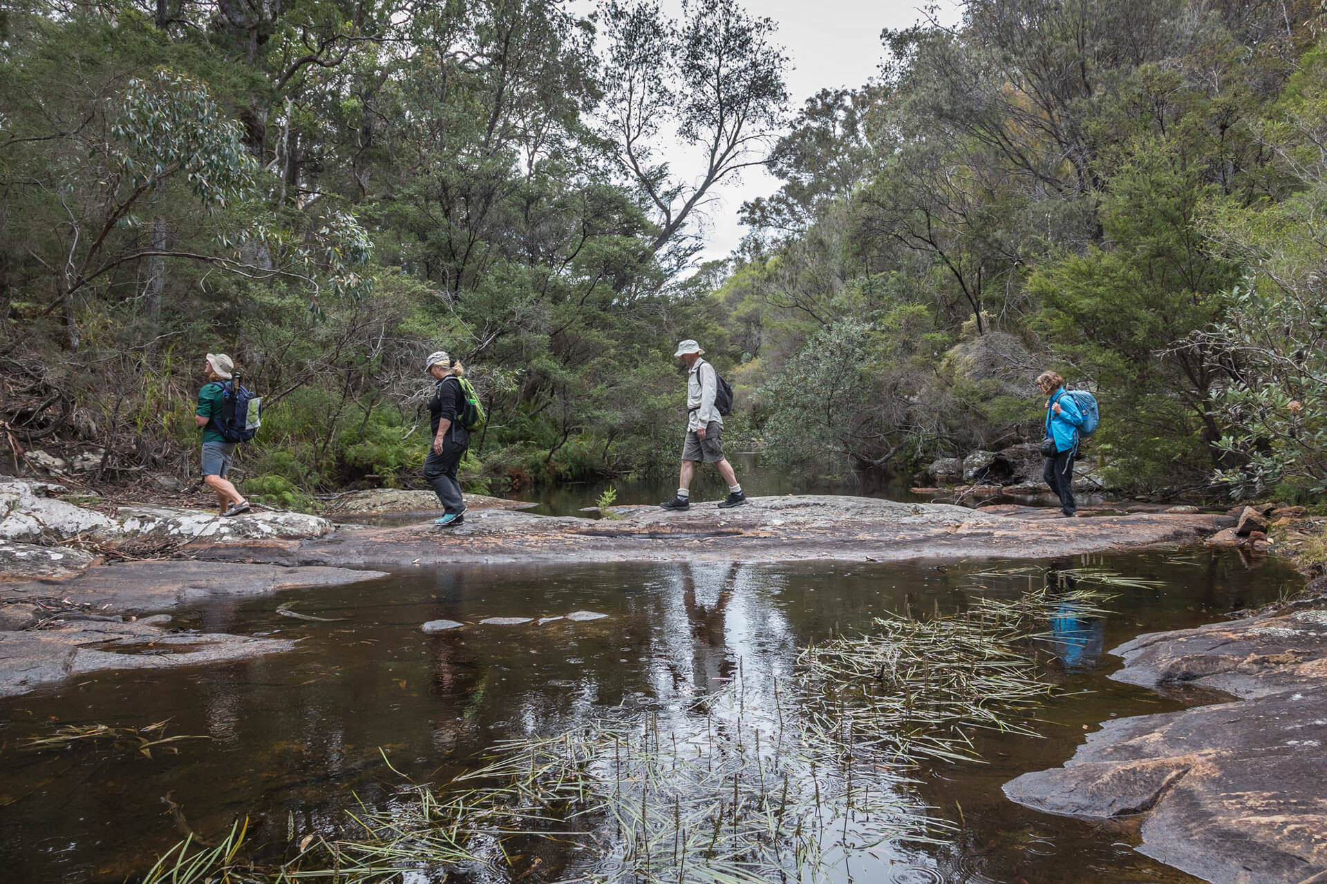 Light to Light Walk, Sapphire Coast Guiding Co, South Coast, NSW, Sapphire Coast, walks, hikes, tours