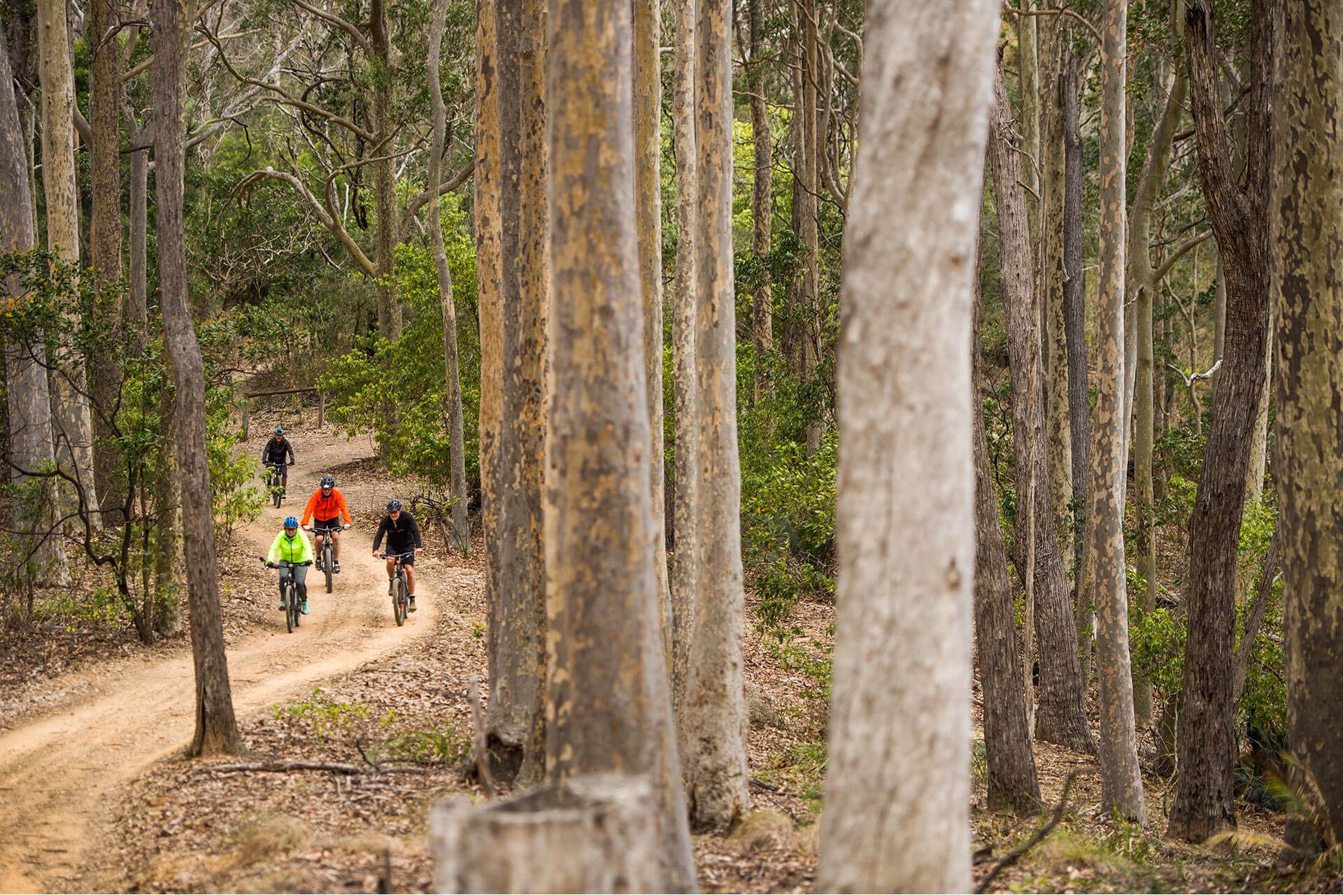 Mimosa Rocks National Park, Sapphire Coast Guiding Co
