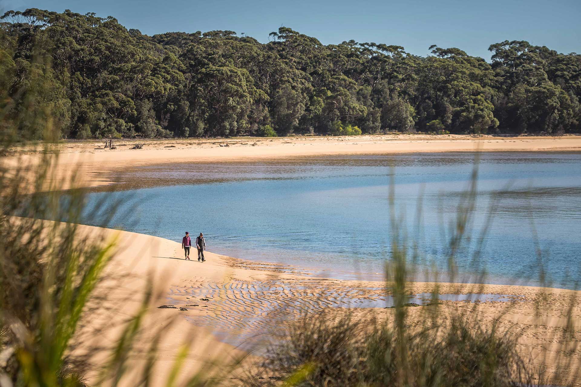 Light to Light Guided Walk | Sapphire Coast Guiding Co