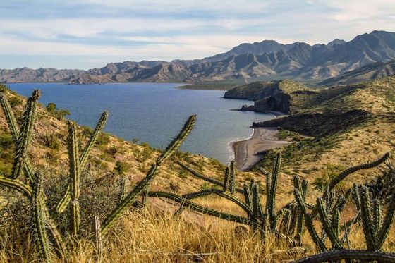 Baja California