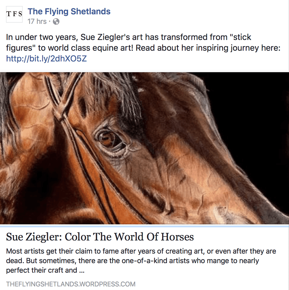 Flying Shetlands Interview