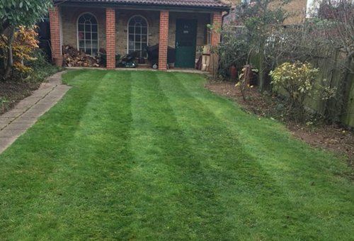 General garden services