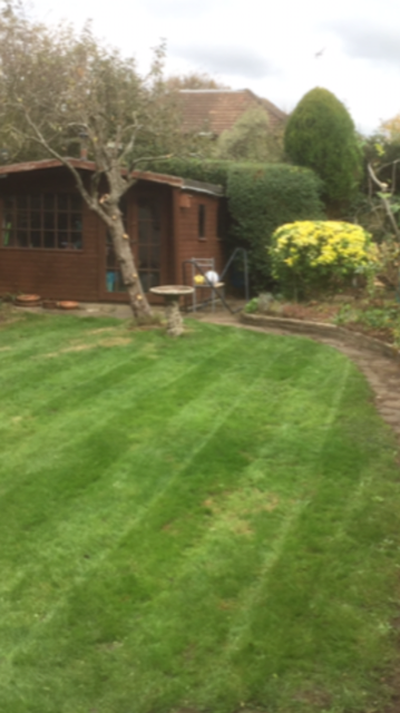 garden