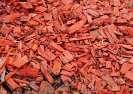 Red Bark
