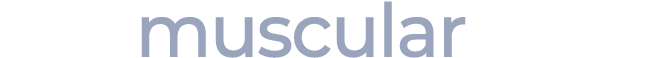 the muscular clinic