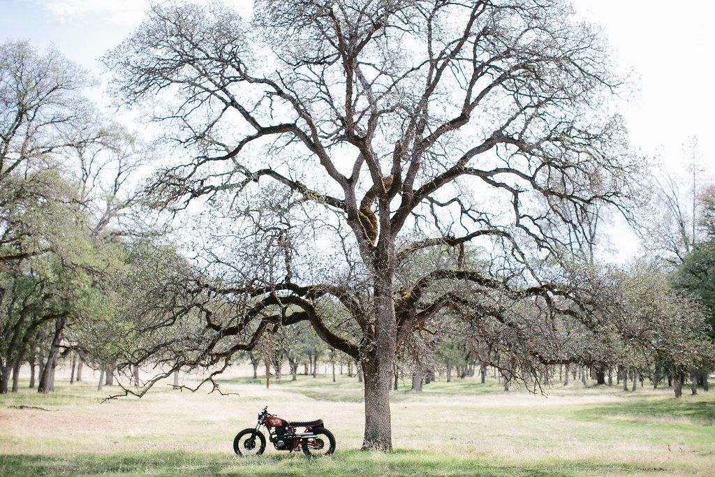 custom motorcycle builders in California pucture