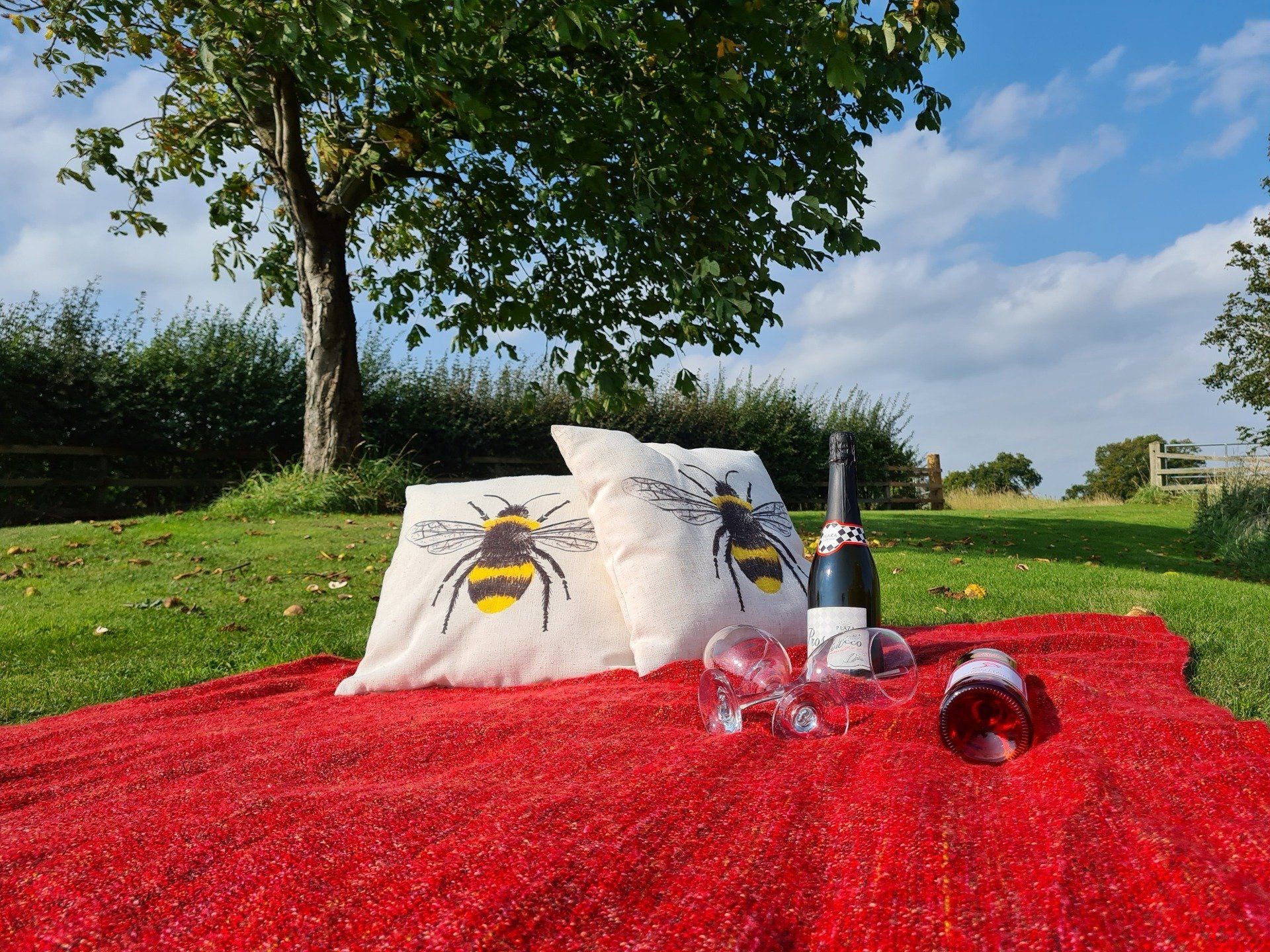 Champagne and glasses on a picnic rug with cushions in the country side