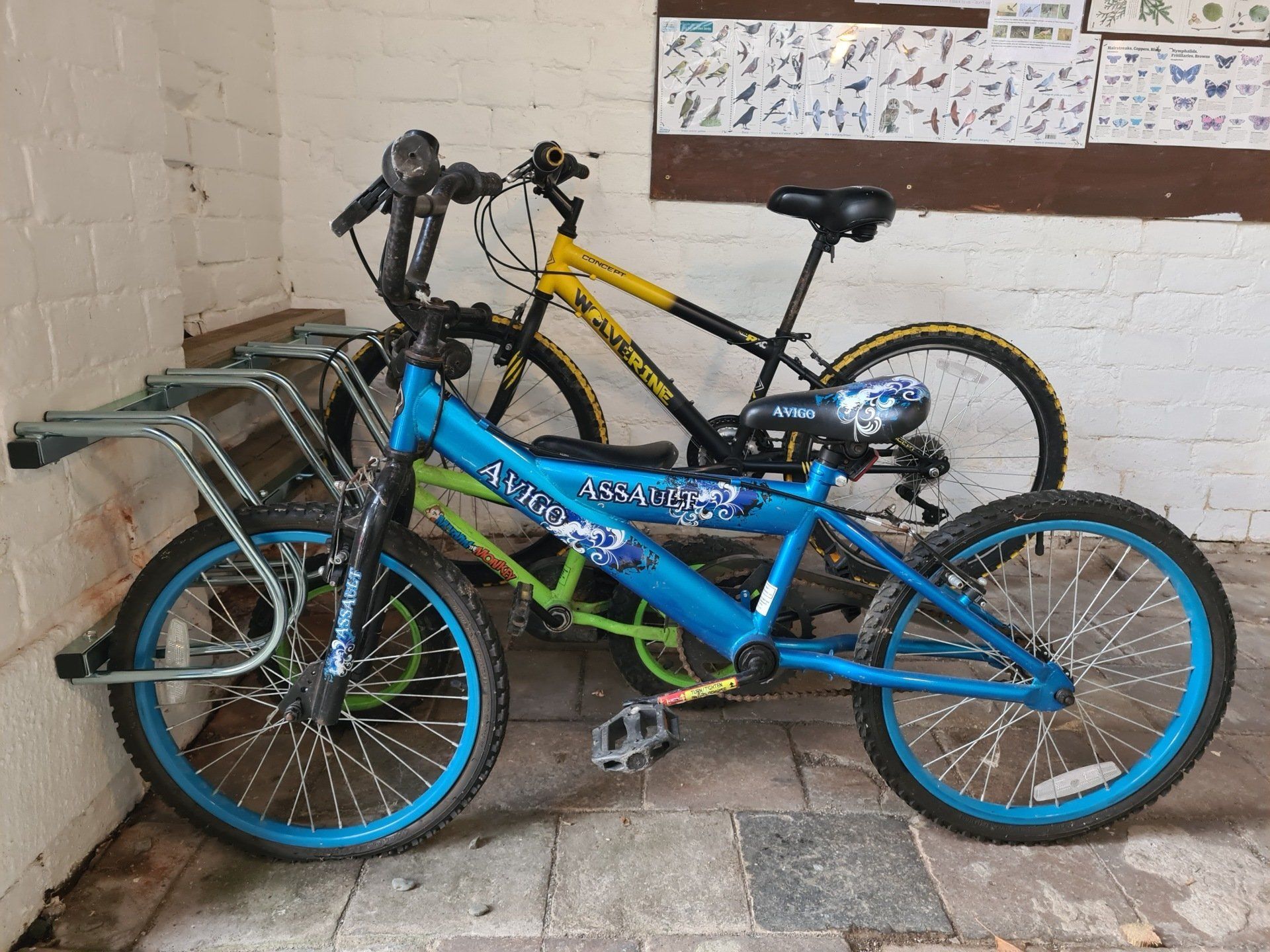 Bikes in a bike store