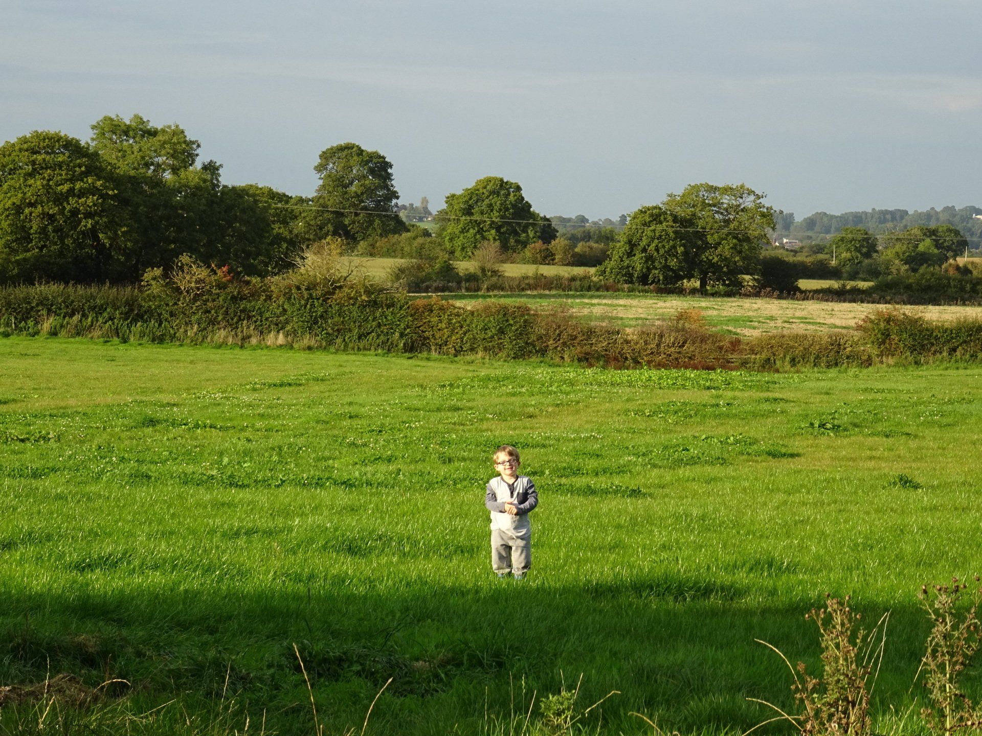 Little boy in a field