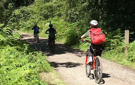 children ride bikes on a country path