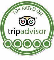 Top rated trip advisor logo