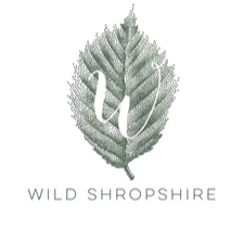 Logo for Wild Shropshire a Michelin starred restaurant in Whitchurch