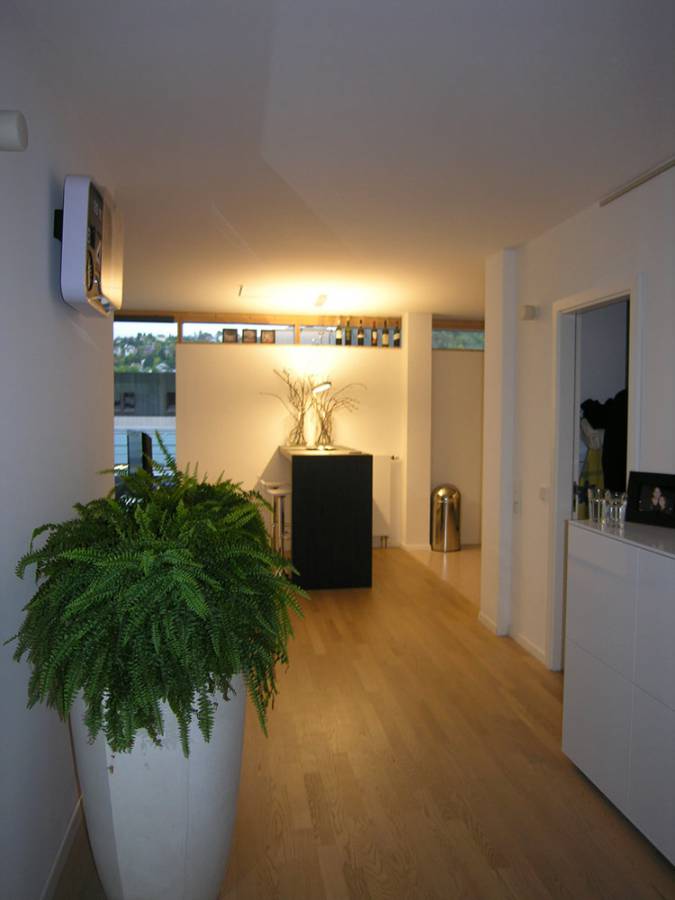 A potted plant is in the middle of a hallway
