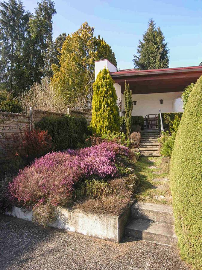 A house with purple flowers in front of it