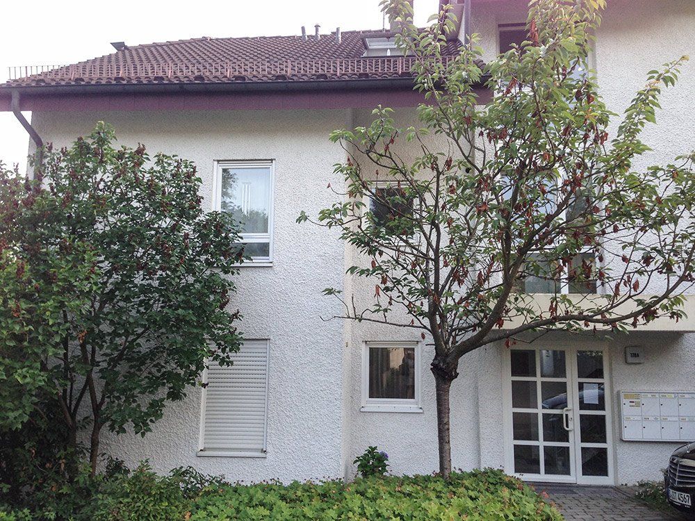 A white building with a tree in front of it