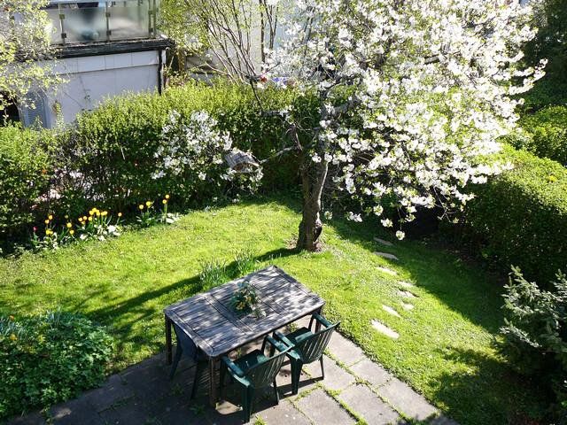 There is a table and chairs in the backyard.