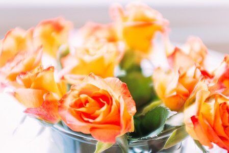Funeral Alternatives Orange Flowers