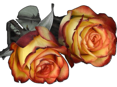 cremation services in st. catharines
