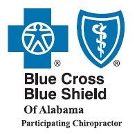 Blue Cross/Blue Shield Blue Cross/Blue Shield